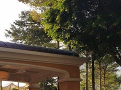-永利澳门酒店
