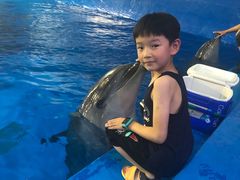 -华夏文旅海洋公园