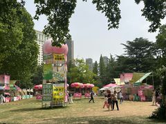 -西苑公园