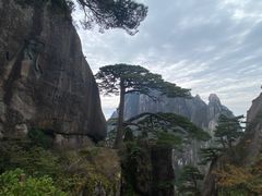 -黄山风景区