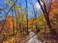 -玉渡山自然风景区
