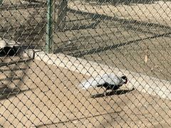 -银树楼(紫玉山庄东区店)