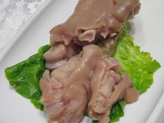 -丁老爷子苏香圆