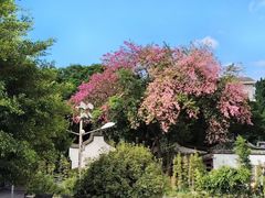 -乌山风景区