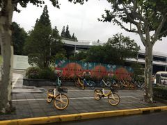 -上海植物园·停车场