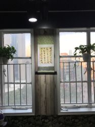 -Park Salon脏辫羽毛接发