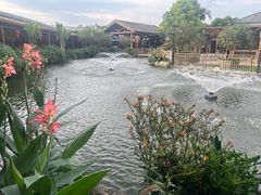 -大门水乡·顺德菜