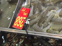-湛江渔港·大排档(乐园路总店)