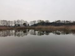 -西湖风景区-江洋畈生态公园