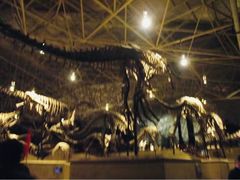 -世界恐龙谷景区