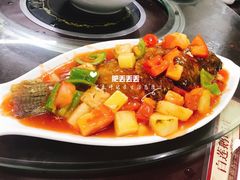 -常来老白莲鹅饭店(老城店)