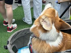 -沈阳铁西万象汇