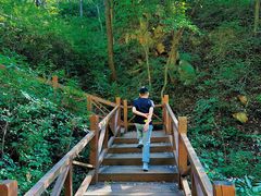 -大岭沟猕猴桃谷风景区