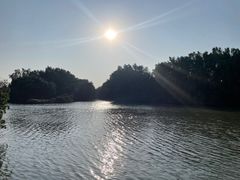 -大湾区中央湿地公园