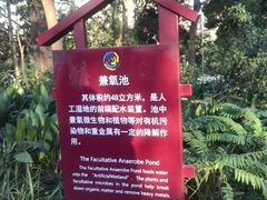 -成都市活水公园
