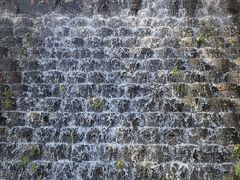 -千年银杏谷文化旅游区