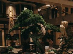 -顺峰(农展馆店)