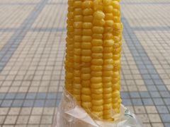 -长安大学渭水滋兰苑餐厅