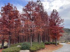 -牛首山文化旅游区