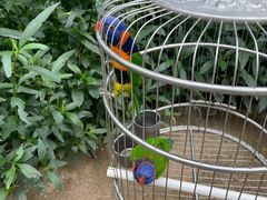 -南宫五洲植物乐园