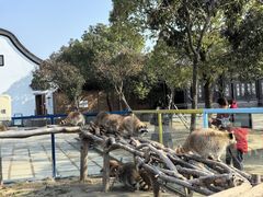 -宁波杭州湾国家湿地公园