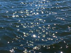 -洱海月湿地公园