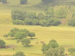 -塞罕坝国家级自然保护区