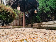 -青岛香根温泉酒店