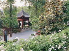 -汉江公园