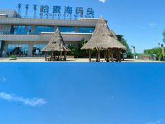 -哈素海