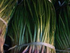 -海吉星国际农产品物流管理有限公司