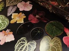 -自由生长植物工作室(深港花卉中心店)