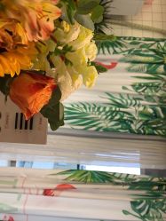 -杨丹国际美学肌研所