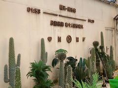 -黄兴南路步行商业街