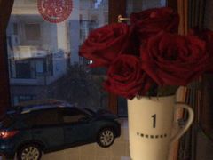 -花瓣雨花艺·Petals raln(和平路店)