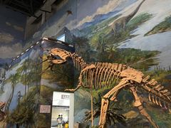-自贡恐龙博物馆