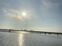 -南汇嘴观海公园