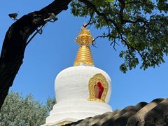 -护国法轮寺