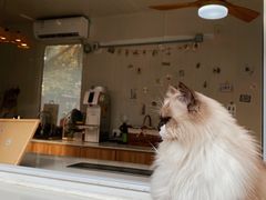 -灯塔咖啡馆BOOK·Coffee Shop