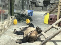 -栾川竹海野生动物园