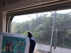 -岳阳东站