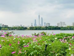 -海珠湖公园