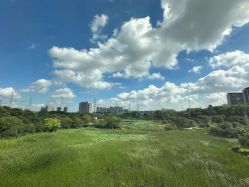 -雅馨国际月子中心