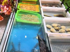 自助取餐区-启东恒大酒店·吕四渔号海鲜餐厅