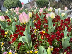 -玄武湖景区-情侣园游乐场