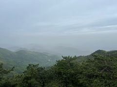 -大围山国家森林公园