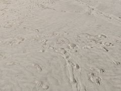 -西澳岛