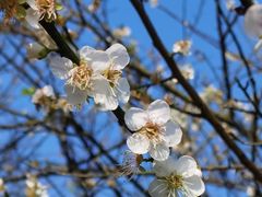 -广州市流溪河国家森林公园