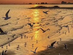 -老虎石海上公园