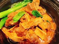 红烧支竹羊腩饭-新宝餐厅(流塘店)